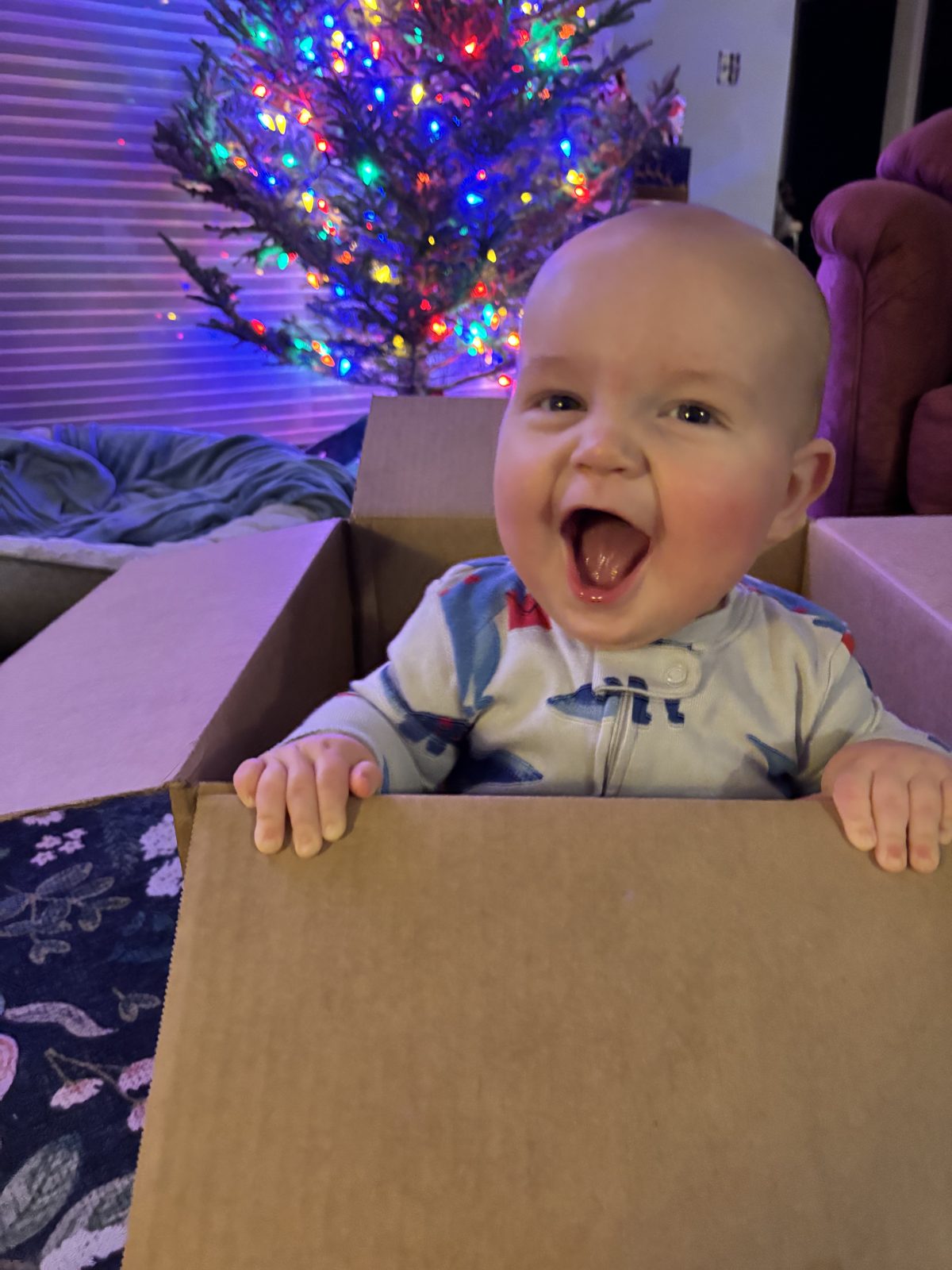 A laughing baby sitting inside a cardboard box in front of a lit Christmas tree