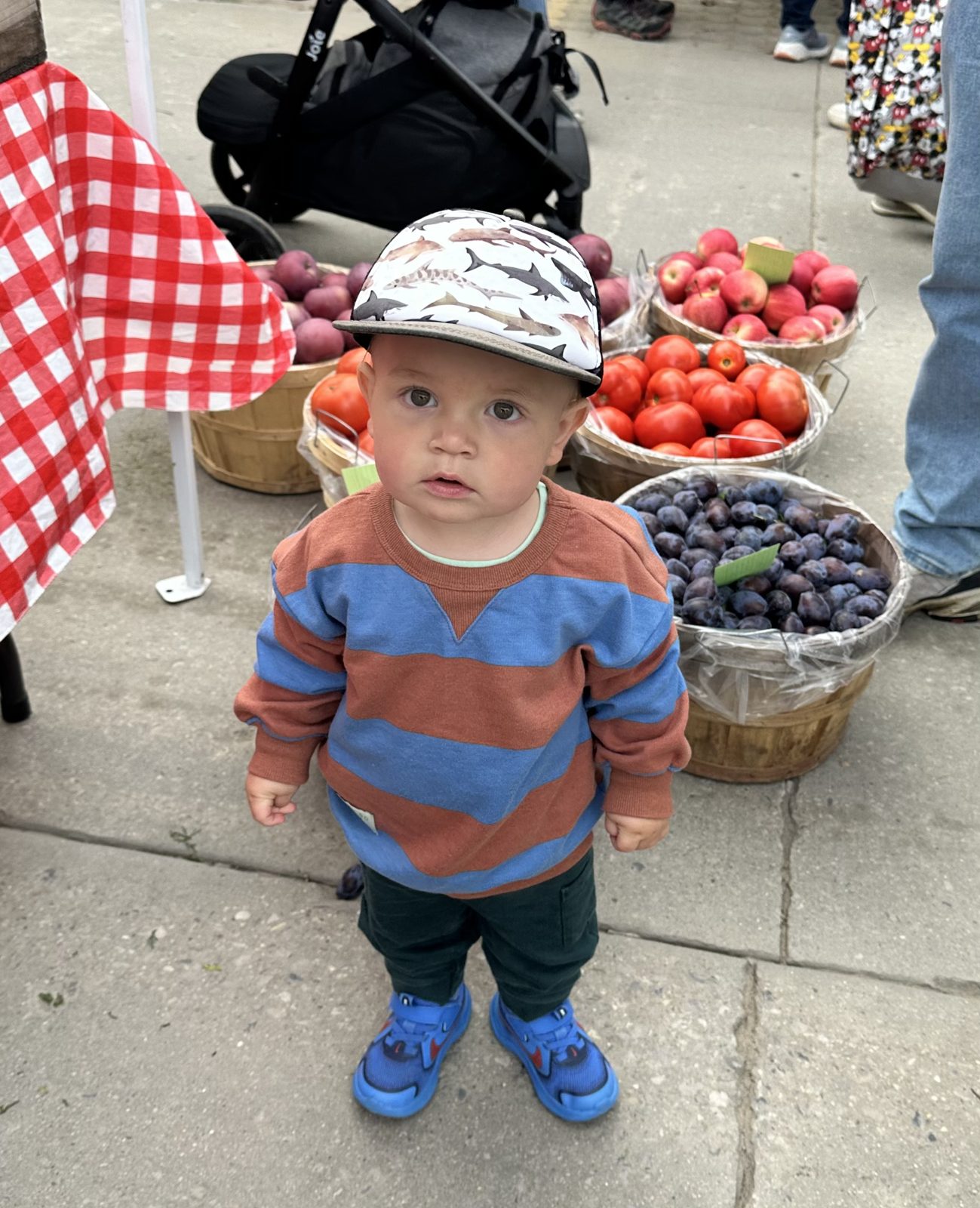 A toddler in a striped sweater and cap standing at a farmers market fruit stand