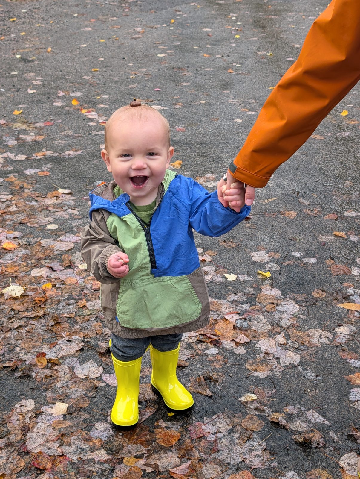 A toddler in yellow rain boots walking on fallen leaves, holding an adult's hand
